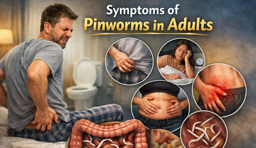 symptoms of pinworms in adults