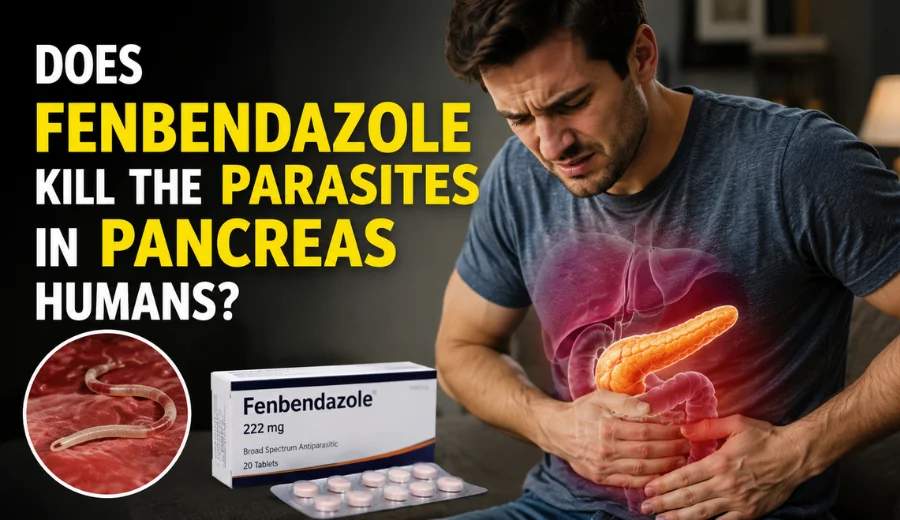 Does Fenbendazole Kill The Parasites In Pancreas Humans​