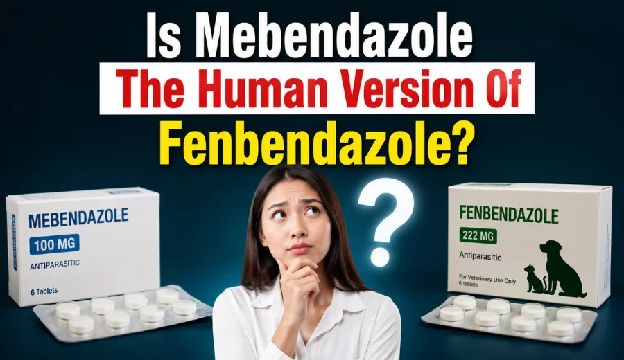 Is Mebendazole the human version of Fenbendazole
