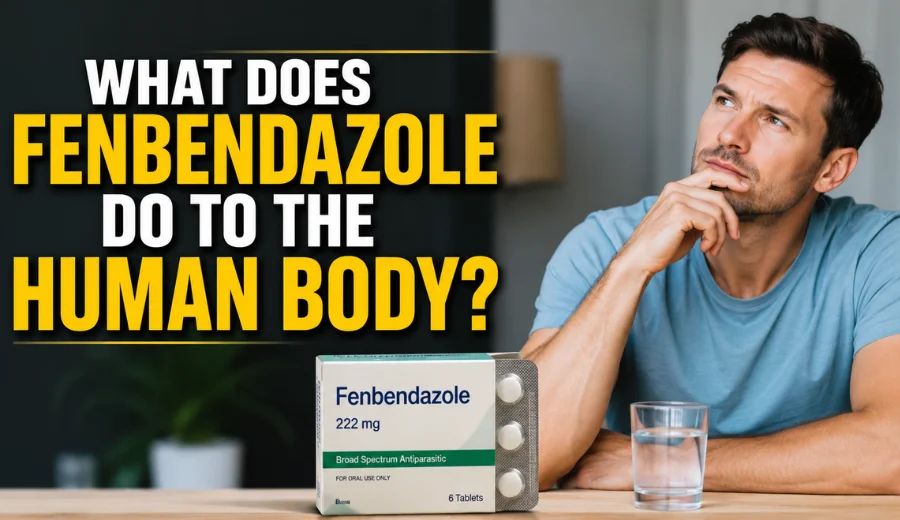 What Does Fenbendazole Do To The Human Body